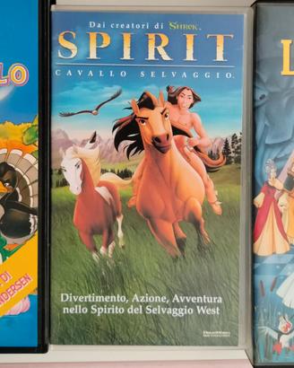 Lotto 39 videocassette Disney e altri cartoni