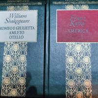 "I grandi classici della letteratura straniera"