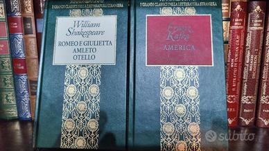"I grandi classici della letteratura straniera"