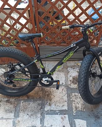 Bicicletta Fat Bike Lombardo Pinerolo