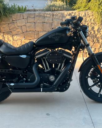Harley Davdson sportster 883 Iron