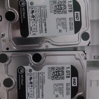 Hard Disk Western Digital 