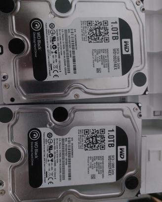 Hard Disk Western Digital 