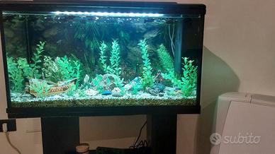 Acquario 90 lt