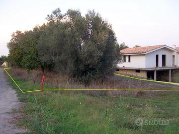 Terreno agricolo via bruzolo- via boccea