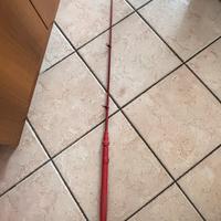 Canna da pesca