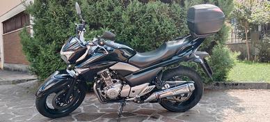 Suzuki inazuma
