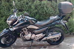 Suzuki inazuma