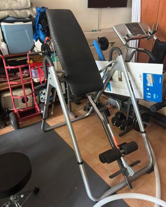 💪 Panca a inversione Kettler Apollo