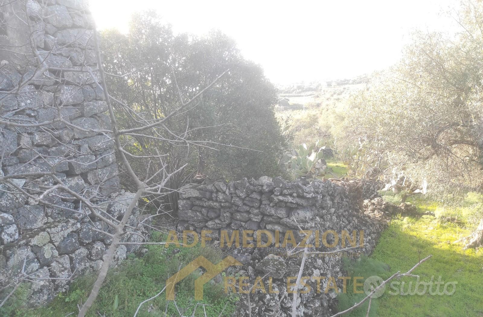 Terreno Su Strada Larga - Vista 2