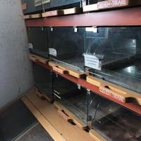 espositori pane self service