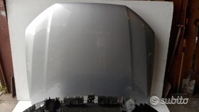 Set paraurti radiatori cofano anteriore VOLKSWAGEN