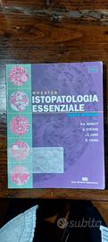 testo universitario 