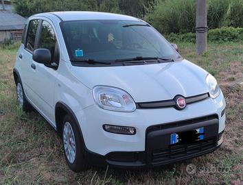 Fiat panda 0.1 Firefly 