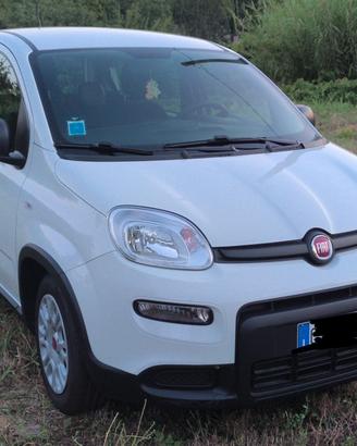 Fiat panda 0.1 Firefly 