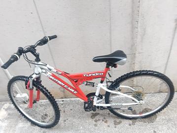 Mountain-bike x ragazzo