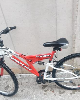 Mountain-bike x ragazzo