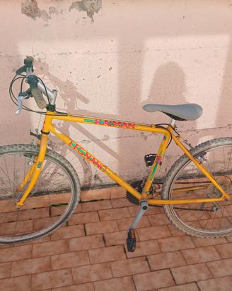 Bici Kaiman Legnano