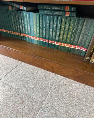 Enciclopedia curvio