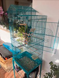 gabbia turchese per uccelli