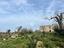 Immagine 28