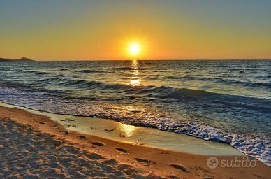 Fuoribordo 60/80cv 2t + Barca 6 ml + ev- carrello