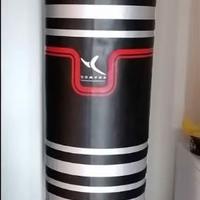 pungiball con piantana