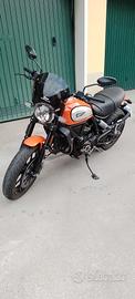 ducati scrambler 800 cc