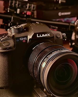 Panasonic Lumix GH5S Body
