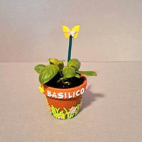 vasetto con basilico 🌱