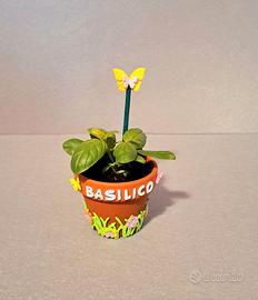 vasetto con basilico 🌱