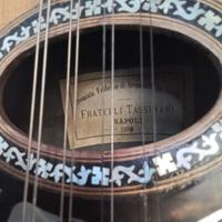 mandolino scannellato Tassinari