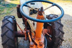 Trattore Pasquali 986