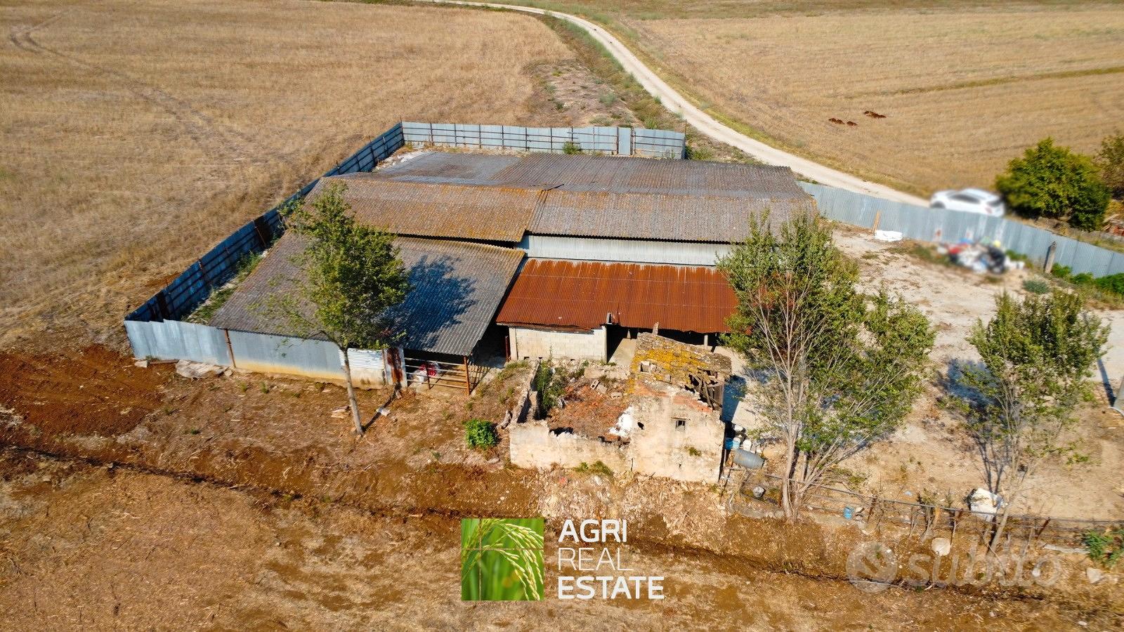 Proprietà agricola 3 HA con fabbricato e stalla - Vista 5