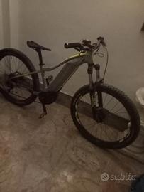 bicicletta pedalata assistita 