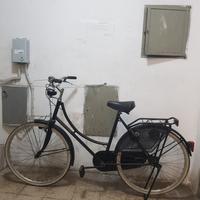 bicicletta donna