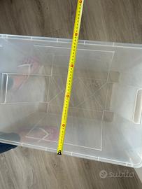 Scatole Ikea SAMLA grandi