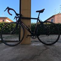 Bici corsa Moser M73