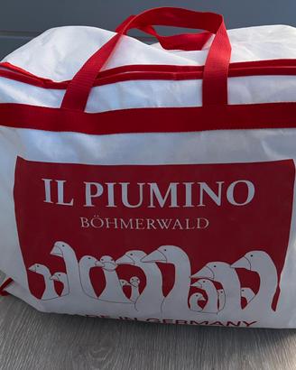 Piumino d’oca 4 stagioni 1 piazza e mezzo