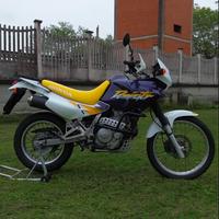 Honda Dominator nx650