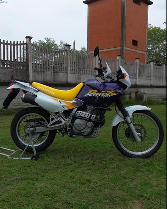 Honda Dominator nx650