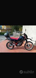 Yamaha xt