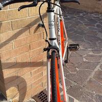 Bici da passeggio singol fixie