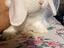 Immagine 5