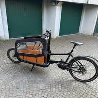 Cargo eBike