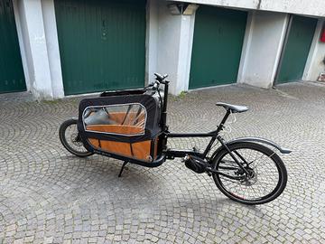Cargo eBike