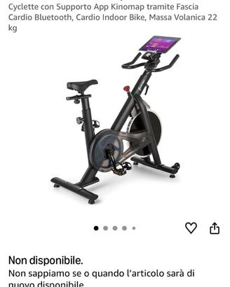Spinning Bike Capital Sport Evo Race