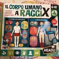 Gioco Headu "Il corpo umano a raggi X"