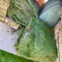 Erba sintetica usata da giardino