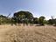 Immagine 29